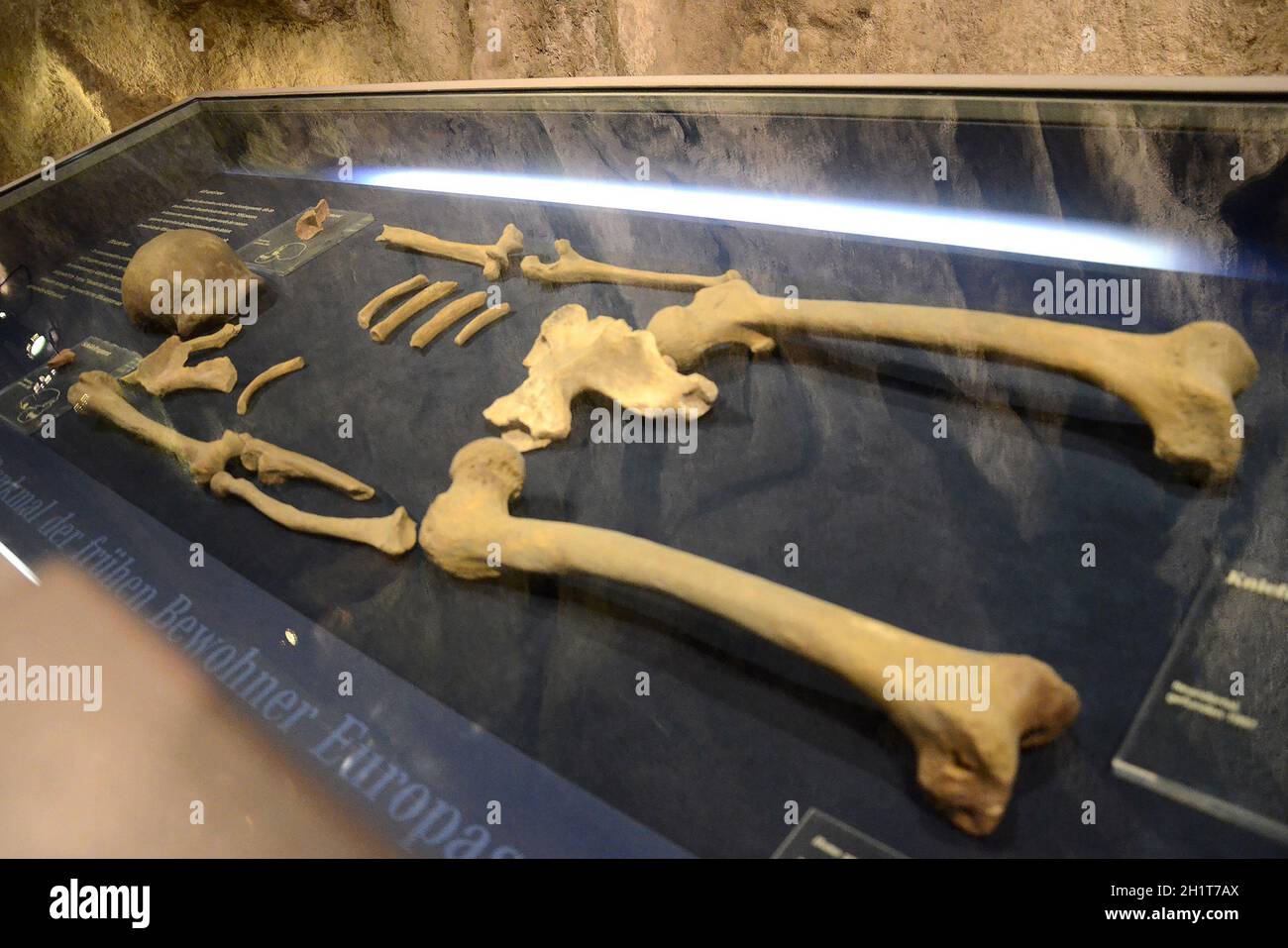 Das Neanderthal Museum ist ein Museum im Neandertal bei Mettmann