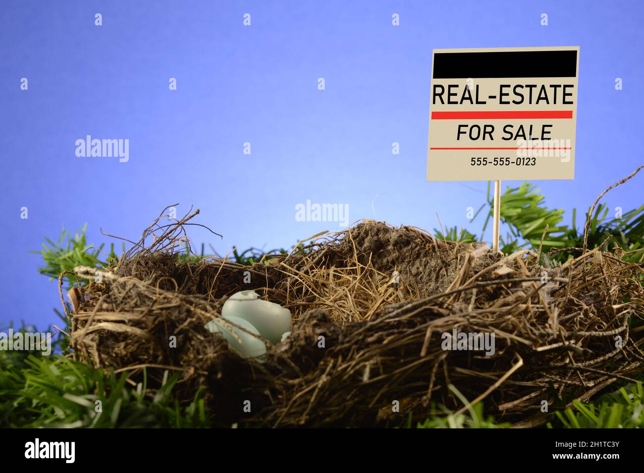 Ein Vogelnest mit einem Immobilien-Zeichen zum Verkauf, um die Immobilienbranche zu konzipieren. Stockfoto