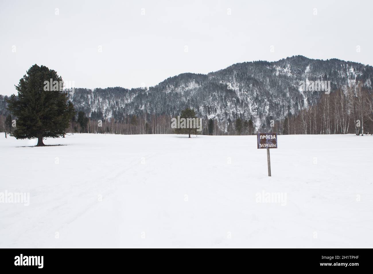Schneebedeckte Bäume und Berge. Schöner Wintertag. Stockfoto