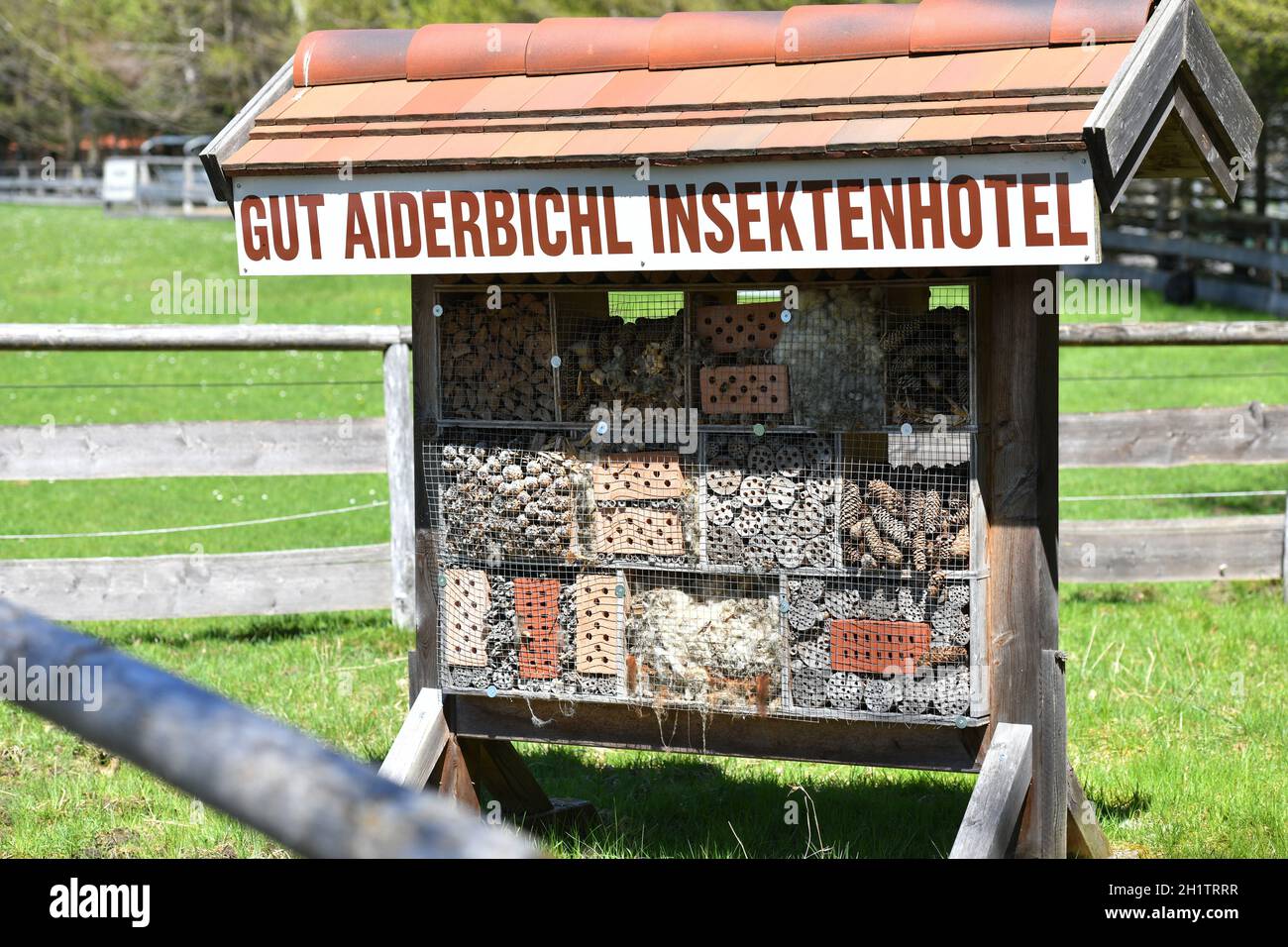 Gut Aiderbichl in Salzburg, Österreich, Europa - gut Aiderbichl in Salzburg, Österreich, Europa Stockfoto