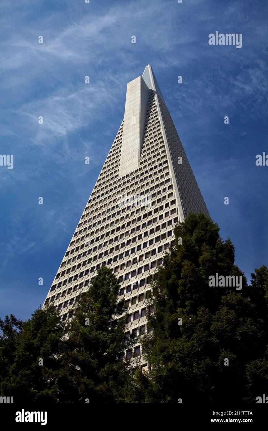 Transamerica Pyramid Wolkenkratzer, Innenstadt von San Francisco, Kalifornien, USA Stockfoto