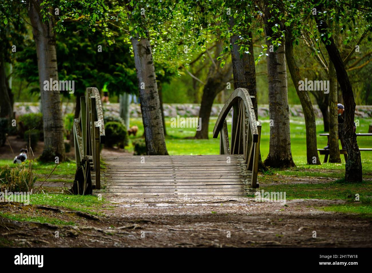 Candamia Park Holzbrücke, Stadt Leon Spanien, Garten Sport-und Freizeitbereich am Rande des Flusses Torio Stockfoto