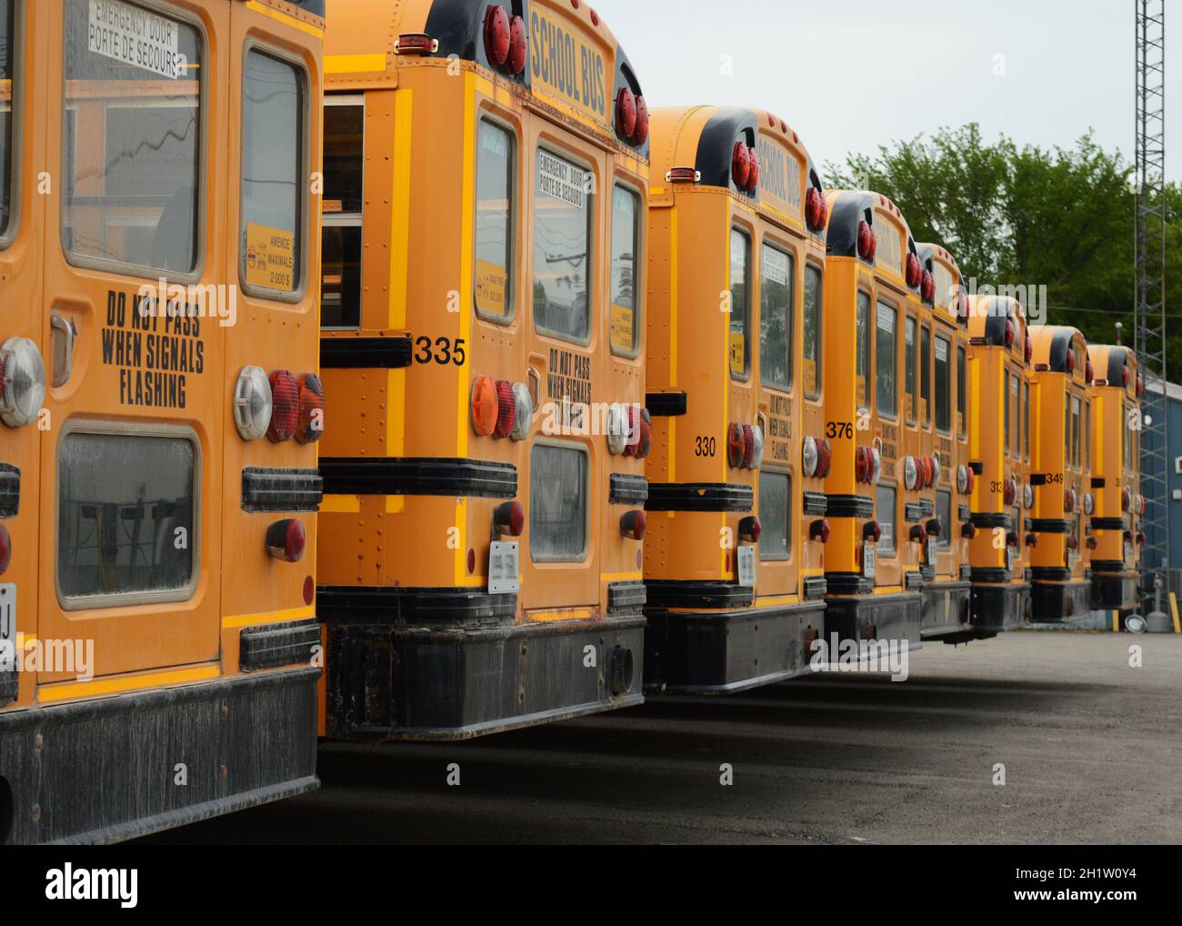 Viele Schulbusse parkten auf dem Parkplatz, während sie nicht auf der Straße benutzt wurden. Stockfoto