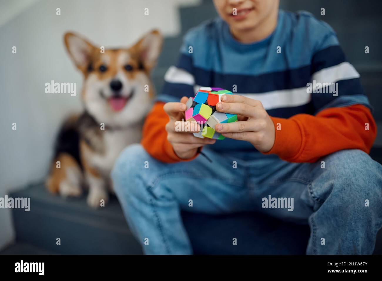 Kind und sein Hund spielen auf den Stufen mit Puzzlewürfeln. Spielzeug für Gehirn und logische Geist Training, kreatives Spiel, Lösung komplexer Probleme Stockfoto