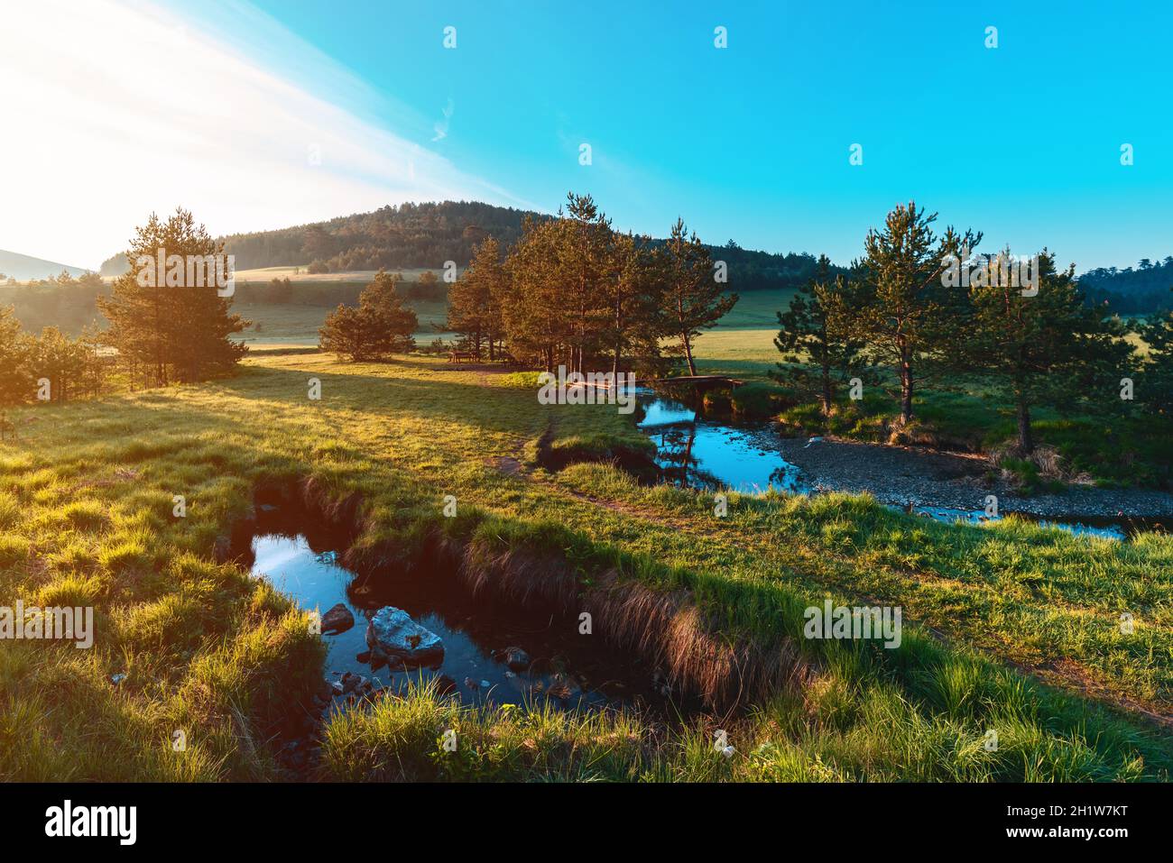 Vodez Landschaft mit weißen Kiefern und Weiden, Bach und ungezähmte Natur in Zlatibor Region, Serbien. Weitwinkelaufnahme einer wunderschönen Lage. Stockfoto