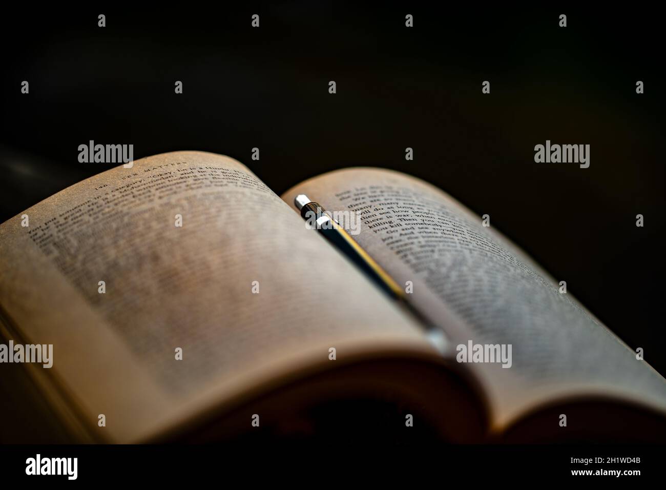 Gemütliche Nacht zu Hause mit einem guten Buch. Lesen einer interessanten Geschichte. Anmerkungen Machen. Abends chillen und entspannen. Selbstentwicklungskonzept. Stockfoto