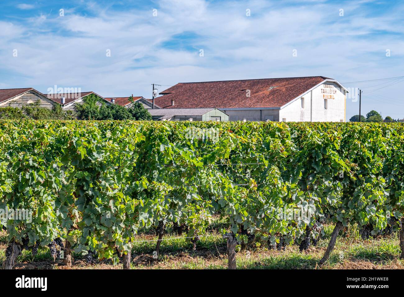 Der Winzer Château Taillefer in Pomeral, einem der prestigeträchtigsten Dörfer im Weinbaugebiet AOC Saint-Émilion., Südfrankreich Stockfoto