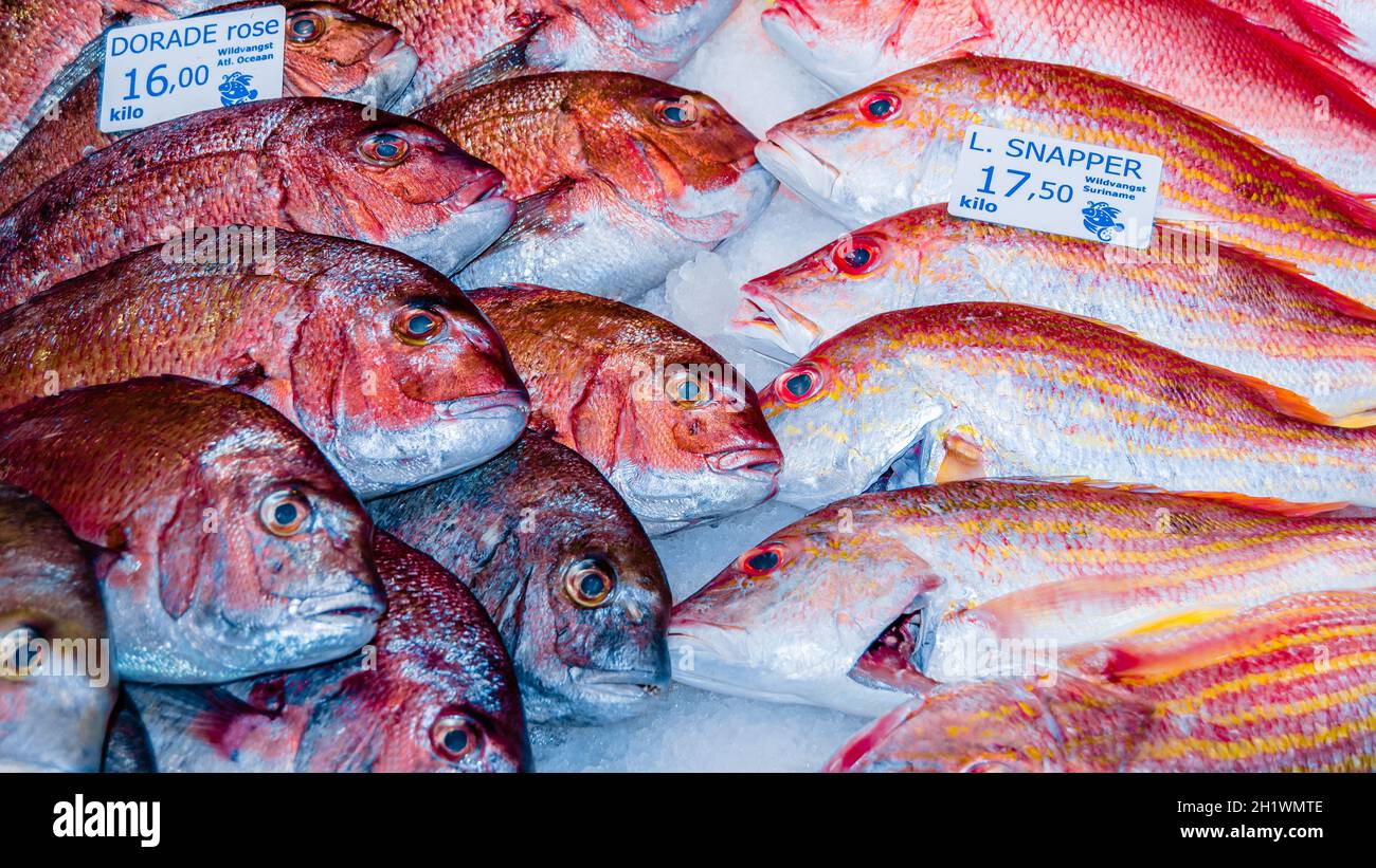 AMSTERDAM, NIEDERLANDE - 17. NOVEMBER 2018: Frischfischstand auf dem Albert Cuyp Markt, einem Straßenmarkt und einer Touristenattraktion in Amsterdam, der Stockfoto