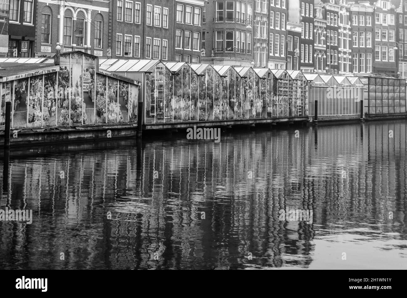 AMSTERDAM, NIEDERLANDE - 16. NOVEMBER 2018: Blick auf den Blumenmarkt in Amsterdam, eine beliebte Touristenattraktion am Singel-Kanal, ist nicht weit Stockfoto