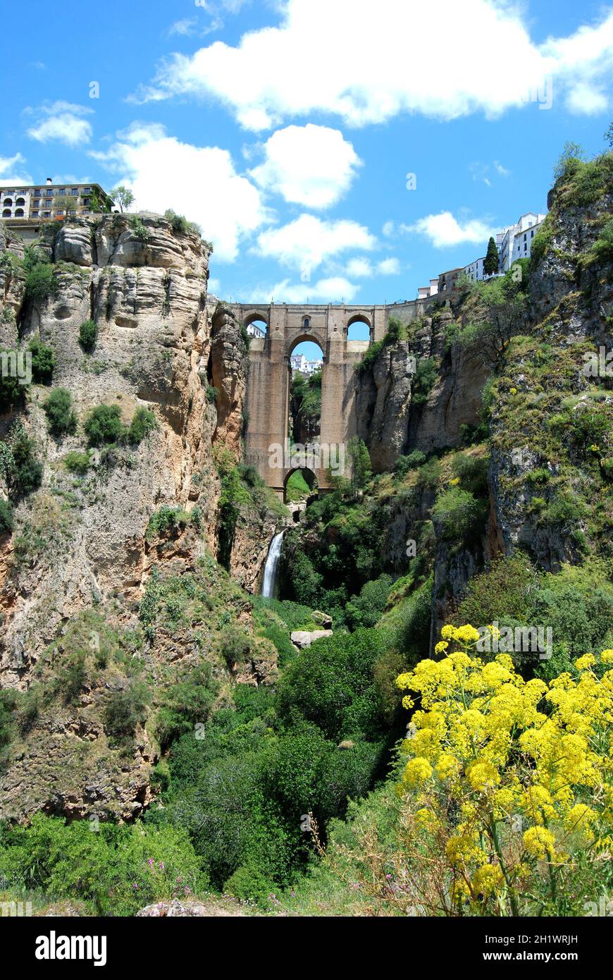 Blick auf die Neue Brücke und Schlucht mit hübschen Frühlingsblumen im Vordergrund, Ronda, Provinz Malaga, Andalusien, Spanien, Europa. Stockfoto