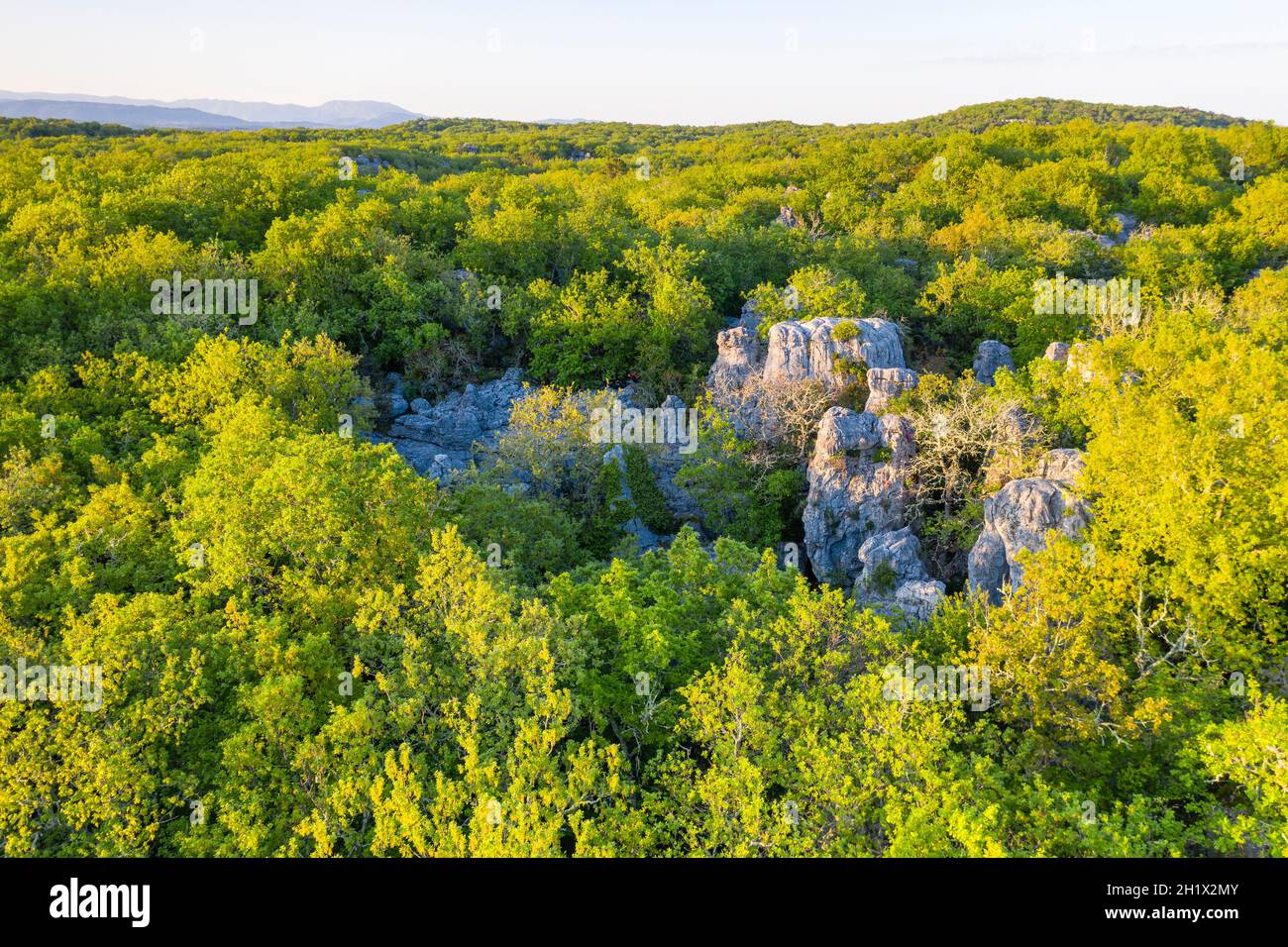 Frankreich, Ardeche, Parc naturel regional des Monts d'Ardeche (regionaler Naturpark Monts d'Ardeche), Berrias et Casteljau, Bois de Paiolive (Luftbild Stockfoto