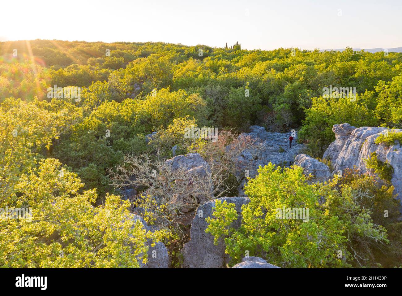 Frankreich, Ardeche, Parc naturel regional des Monts d'Ardeche (regionaler Naturpark Monts d'Ardeche), Berrias et Casteljau, Bois de Paiolive (Luftbild Stockfoto