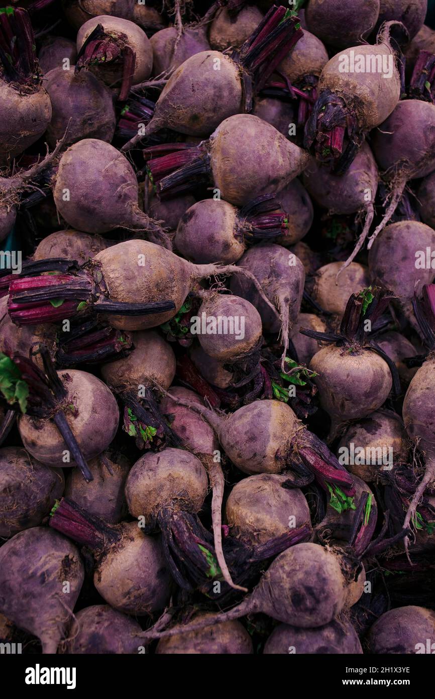 Eine Streuung von purpurnen Rüben. Gemüsehintergrund. Textur Stockfoto