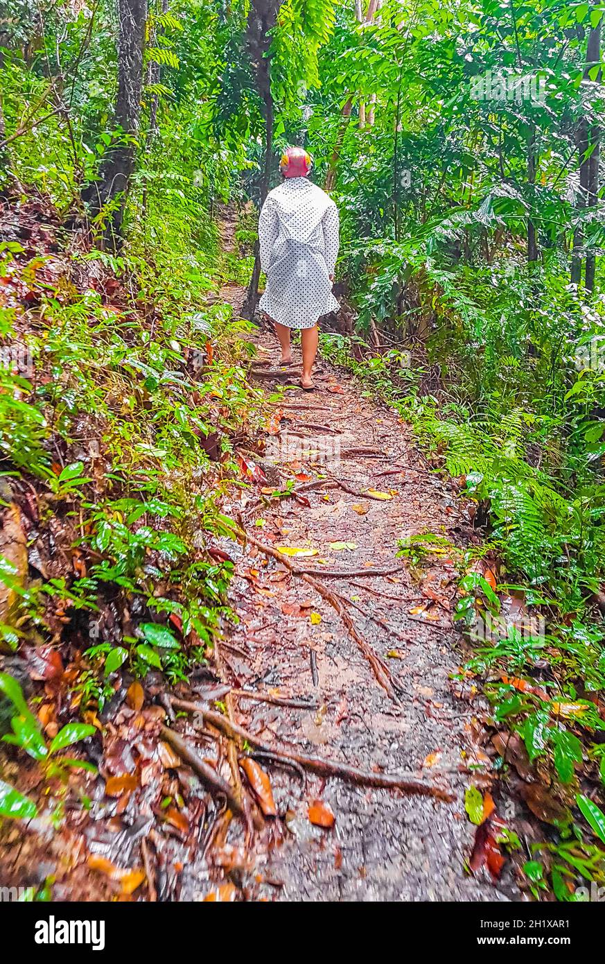 Tourist in regen Poncho und Helm Wanderungen in tropischen Dschungel Wald Wanderweg und Pfad auf Koh Samui in Surat Thani Thailand. Stockfoto
