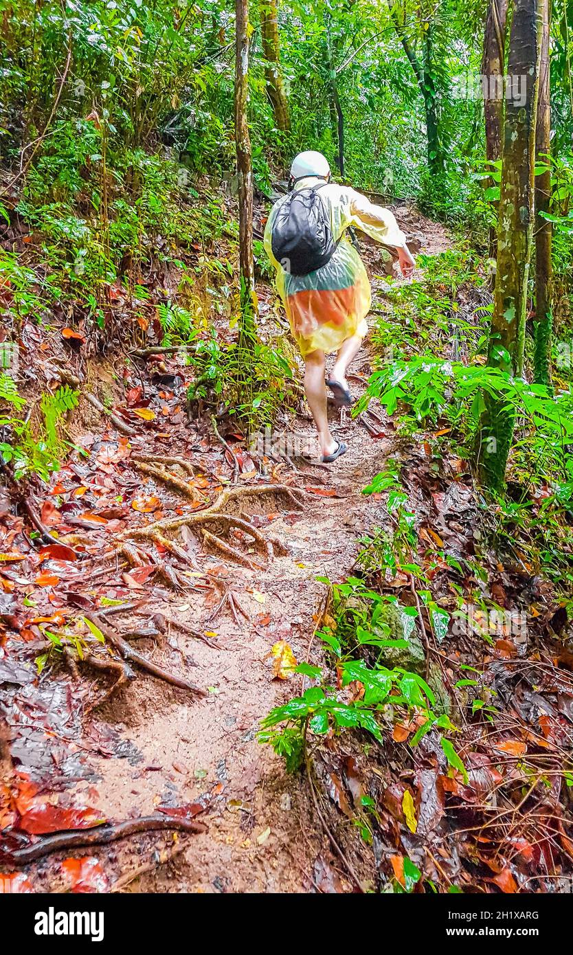 Tourist in regen Poncho und Helm Wanderungen in tropischen Dschungel Wald Wanderweg und Pfad auf Koh Samui in Surat Thani Thailand. Stockfoto