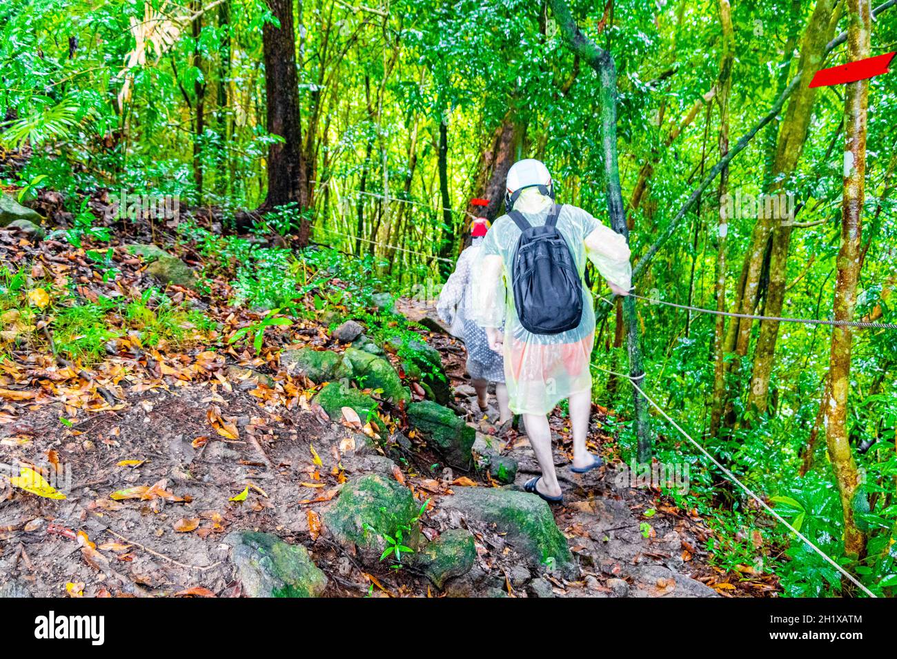 Touristen in regen Poncho und Helm Wanderungen in tropischen Dschungel Wald Wanderweg und Pfad auf Koh Samui in Surat Thani Thailand. Stockfoto