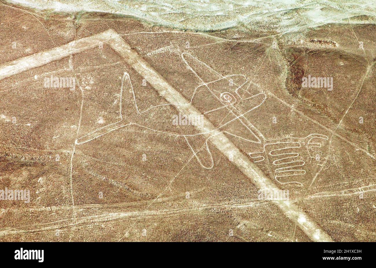 Der Wal, Nazca geheimnisvolle Linien und Geoglyphen Luftbild, Wahrzeichen in Peru Stockfoto