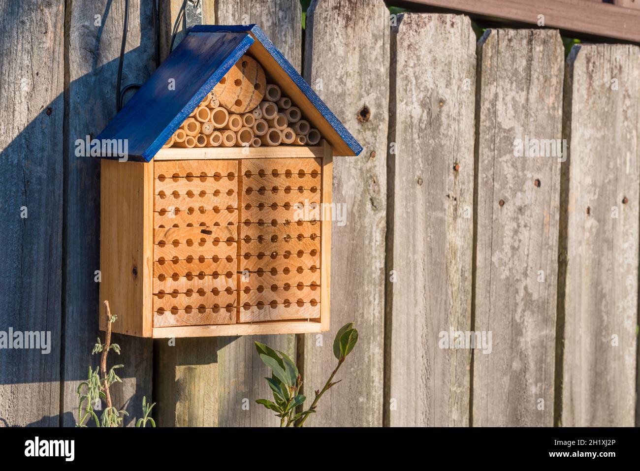 Ein Bienenhotel oder Insektenhotel in Form eines Hauses mit einem blau gestrichenen Dach, das an einem Holzzaun hängt Stockfoto