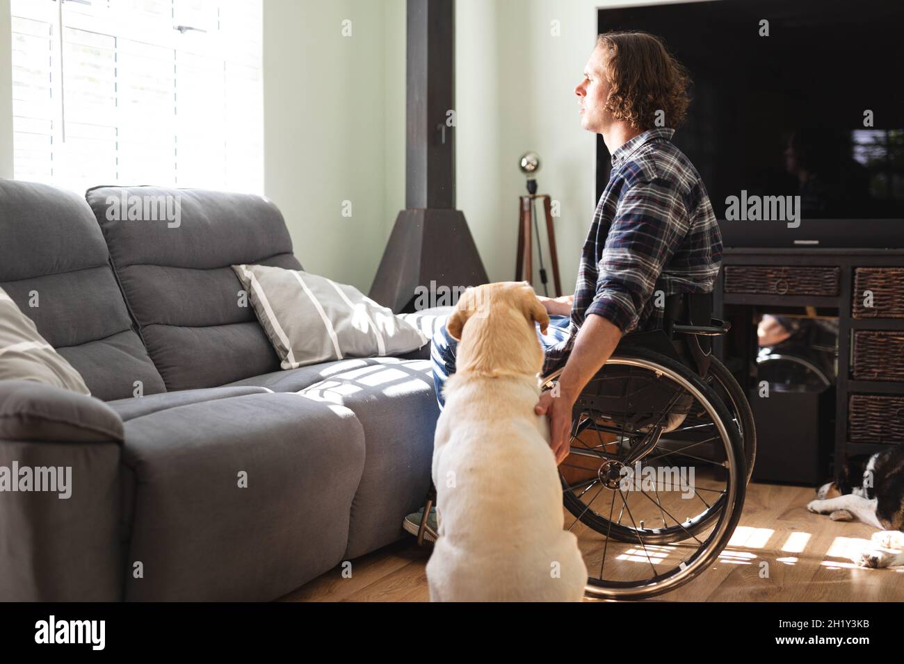 Kaukasischer behinderter Mann mit Hund, der auf dem Rollstuhl sitzt und aus dem Fenster zu Hause blickt Stockfoto