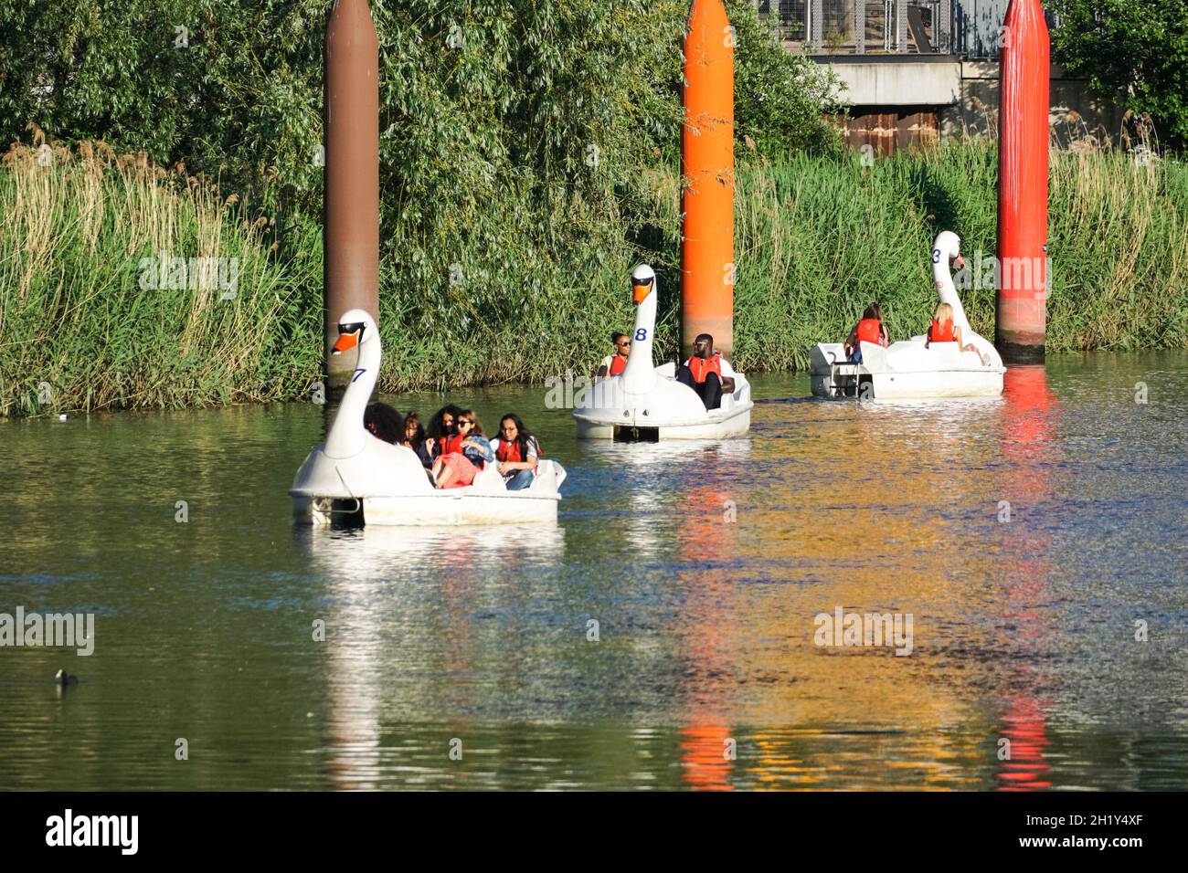 Die Menschen genießen einen sonnigen Tag in Schwanenpedalos auf dem Fluss Lea im Queen Elizabeth Olympic Park, London England Vereinigtes Königreich Großbritannien Stockfoto