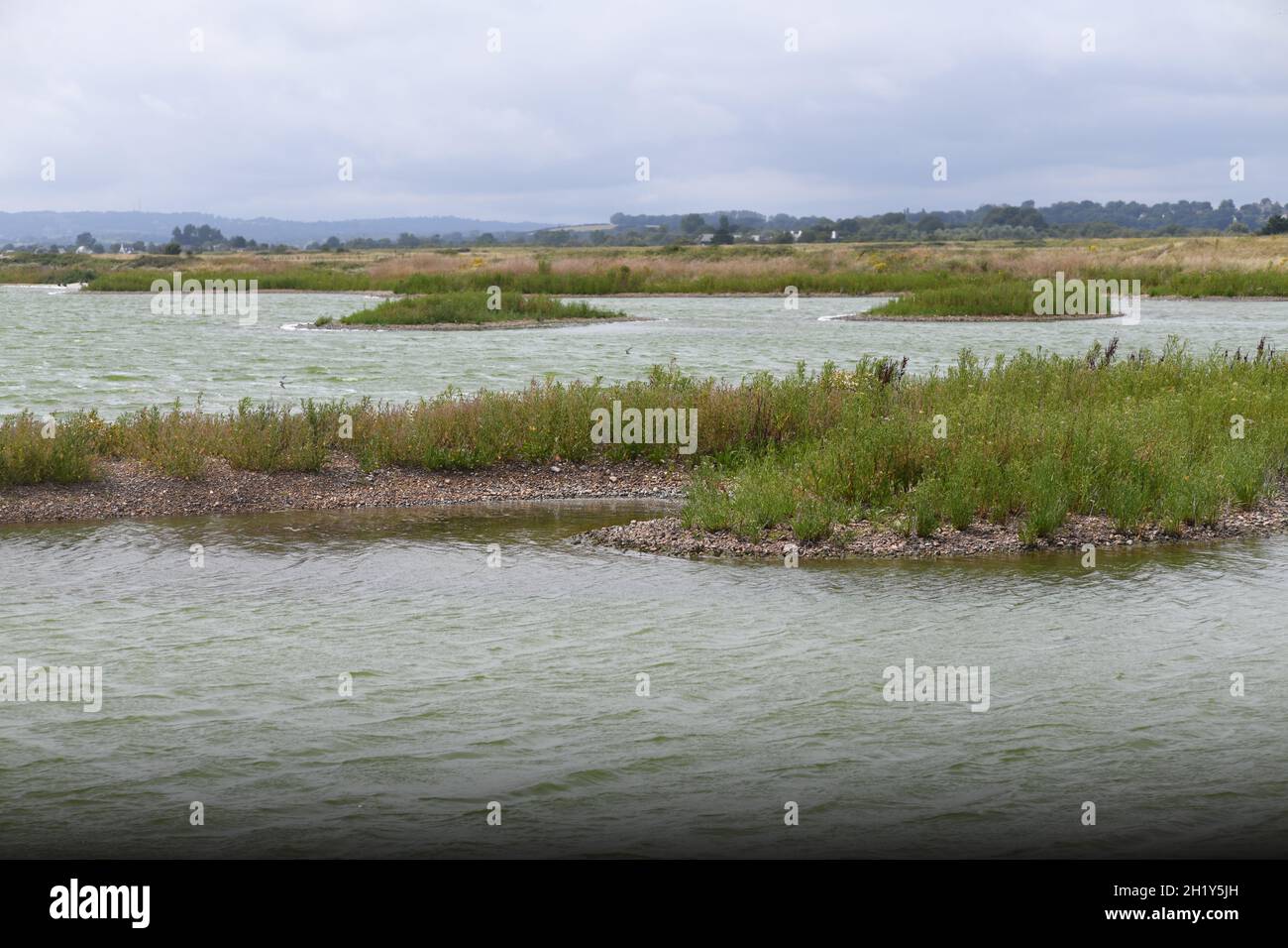 Wildvogelreservat Rye Sussex Stockfoto