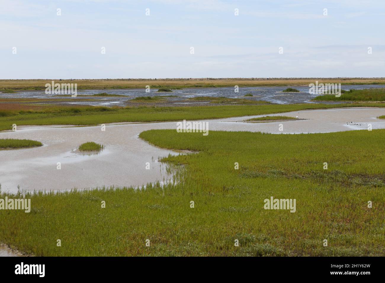 Wildvogelreservat Rye Sussex Stockfoto