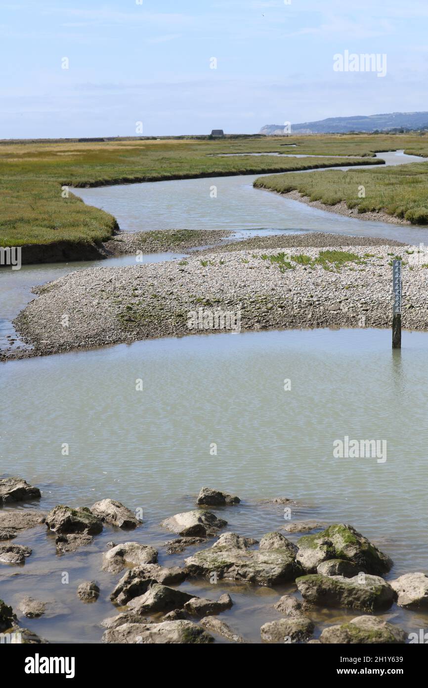 Wildvogelreservat Rye Sussex Stockfoto