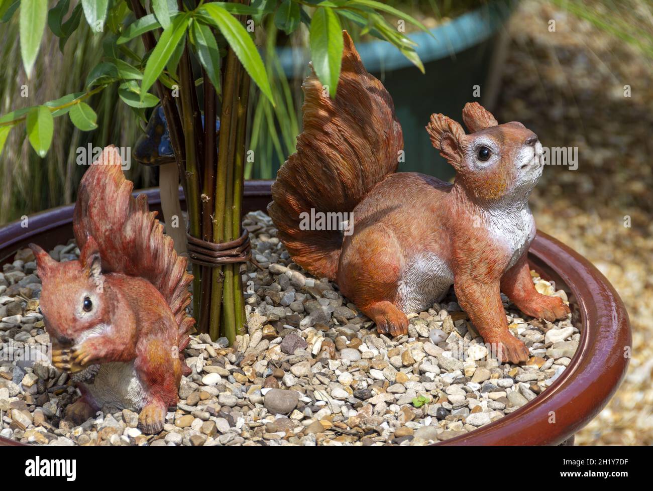 Ornamentale rote Eichhörnchen sitzen in einem großen Pflanzentopf Stockfoto