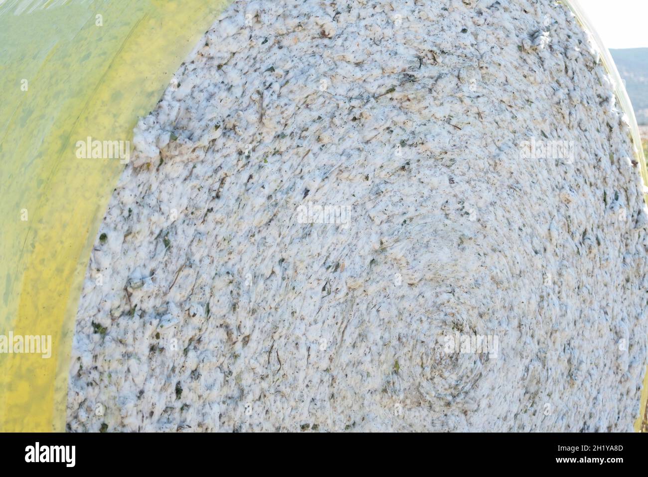 Baumwollballen, der in einer Reihe neben einem geernteten Feld angeordnet ist, bereit zur Abholung; Central California, USA Stockfoto