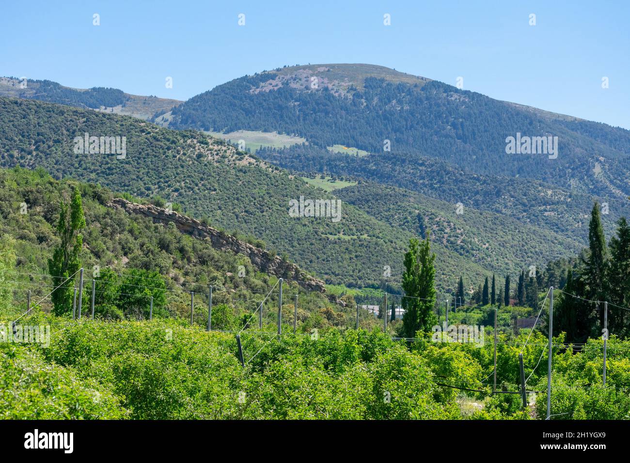 Mount Chelia in der Region Aures Stockfoto