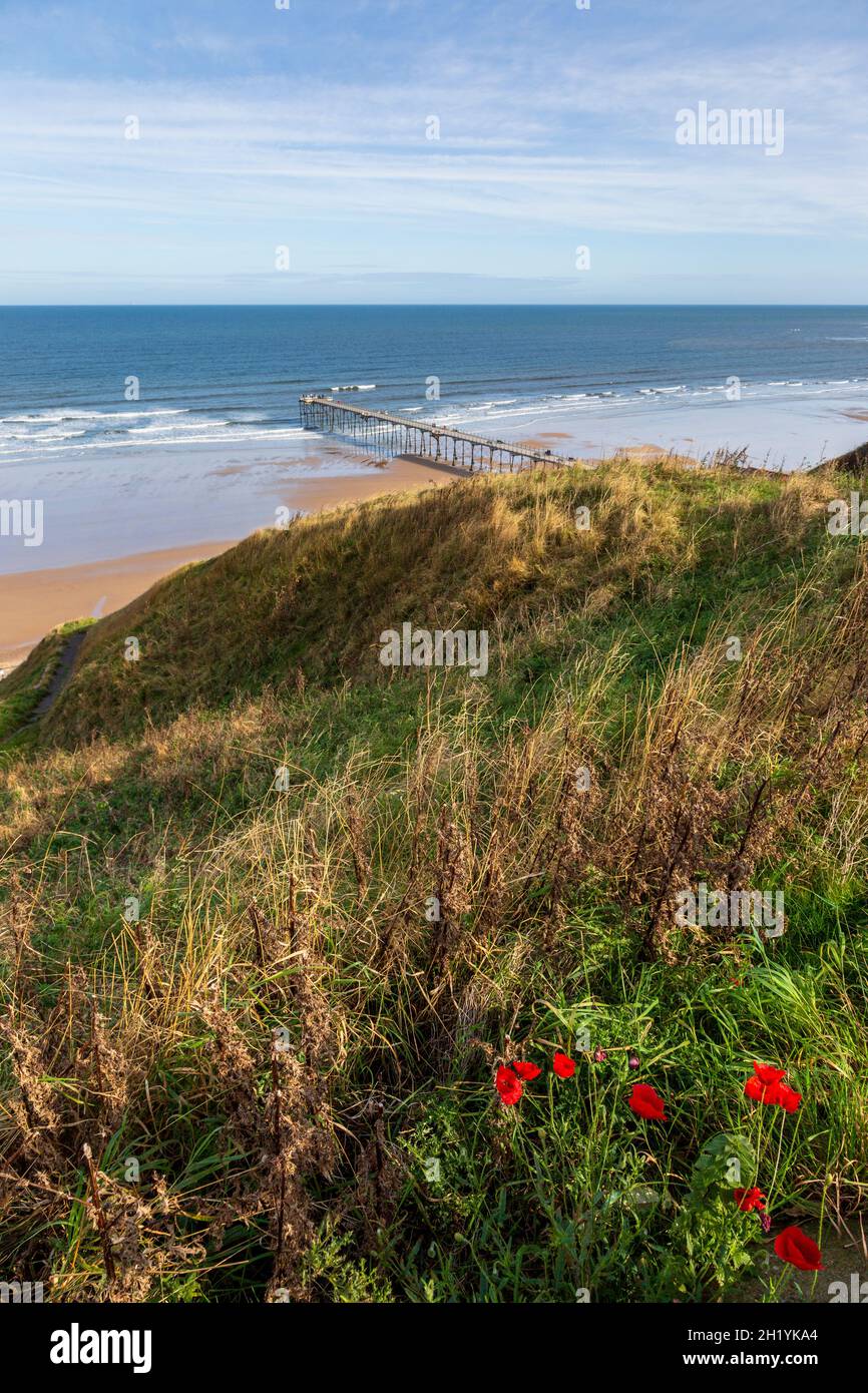 The Green Hillside Verges of Saltburn, North Yorkshire, England Stockfoto