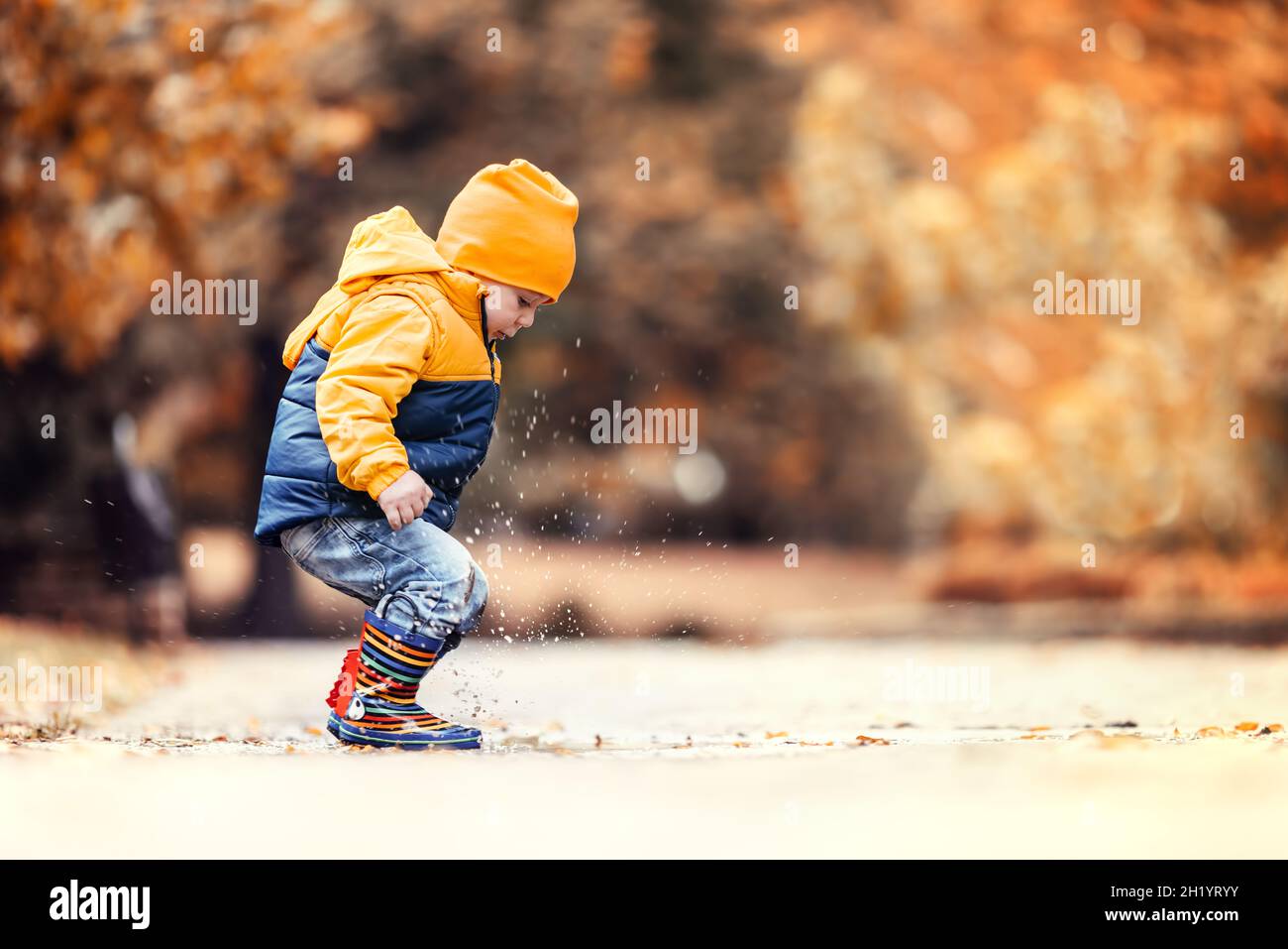 Glücklicher kleiner Junge, der im Herbstpark auf eine verregnete Pfütze springt Stockfoto