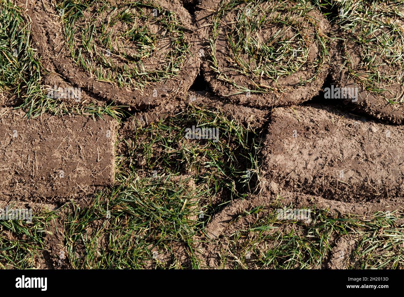 Rasen aus grünem Gras und Erde wird zu Rollen gerollt, der Rasen ist in einem Haufen bereit für die Begrünung. Nahaufnahme. Stockfoto