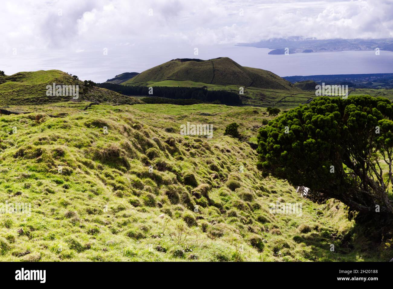 Vulkanlandschaft der Insel Pico, Azoren Stockfoto