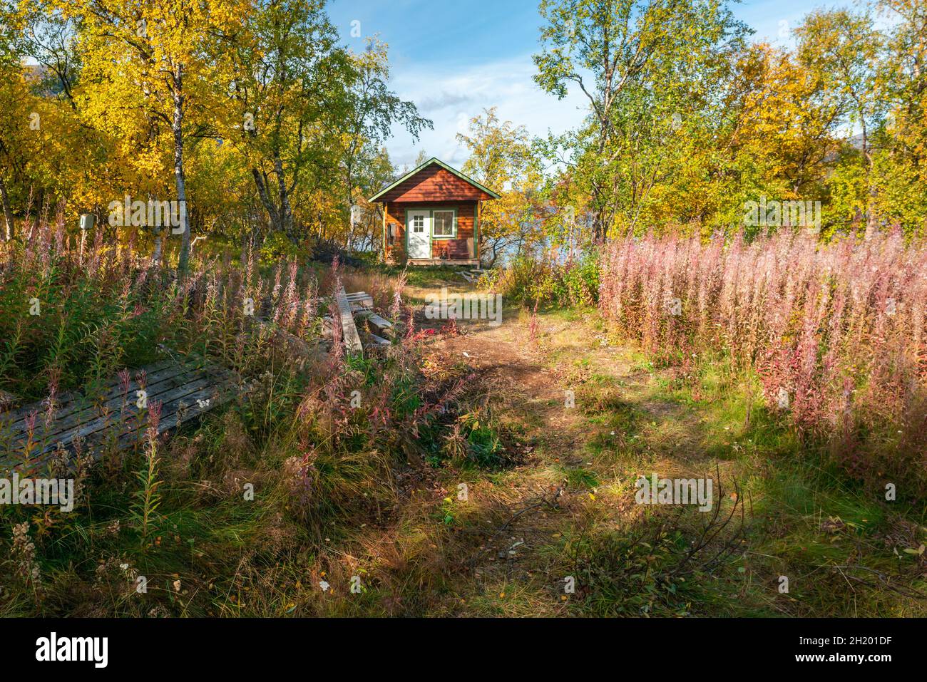 Typische kleine rote Holzhütte in einem Wald in Saltoluokta, Schweden. Schöner sonniger Herbsttag in abgelegener schwedischer Arktis. Lebendige Herbstfarben. Stockfoto