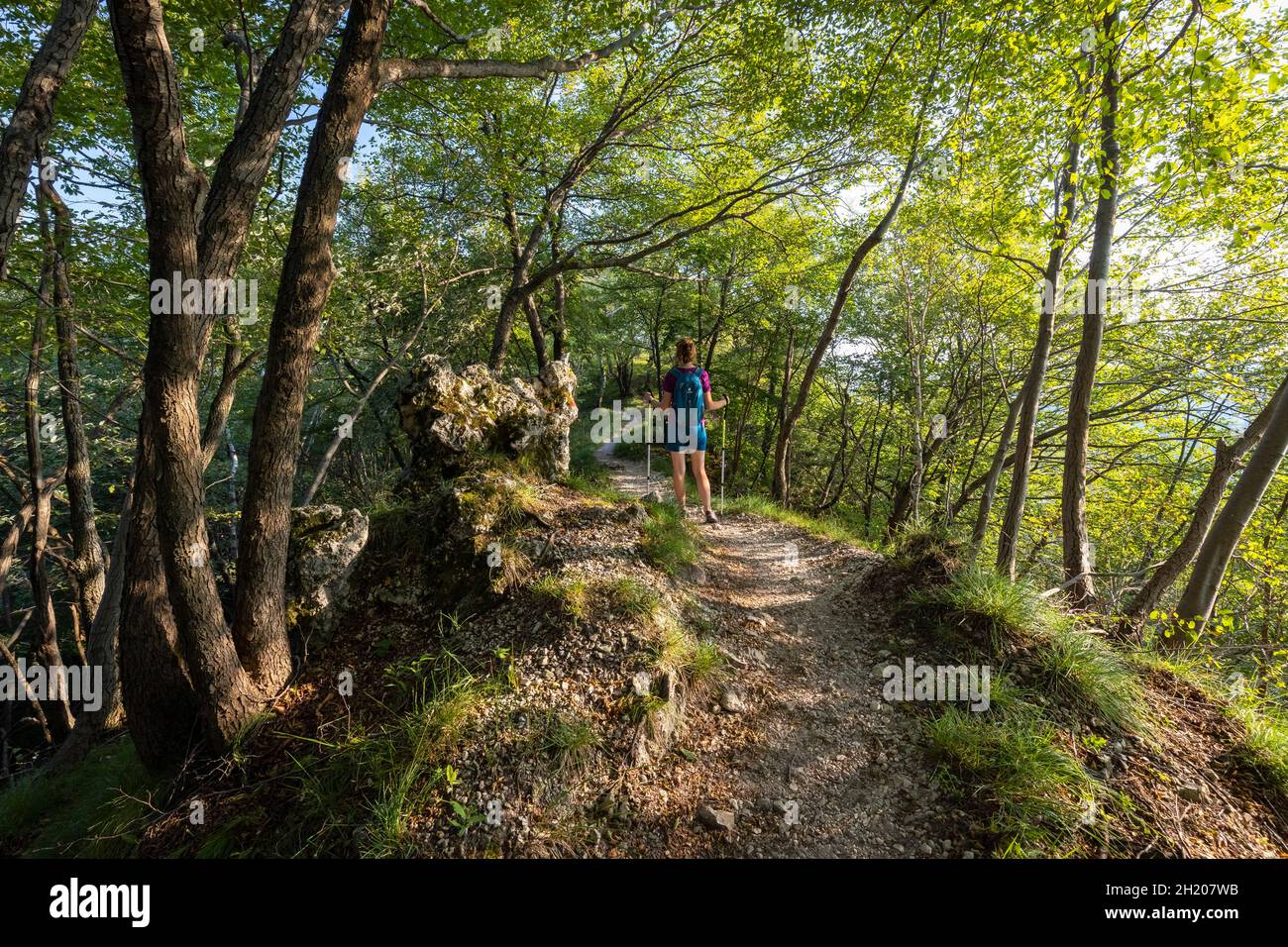 Blick auf den Weg zum Gipfel des Poncione di Ganna, im Valganna-Tal. Varese, Lombardei, Italien. Stockfoto