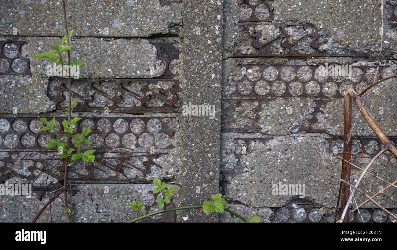 Graue Betonzaunplatten, hergestellt aus recyceltem Eisen, das aus der Herstellung als Verstärkung weggeworfen wurde. Stammt aus dem Weltkrieg 2. Jetzt verfällt. Stockfoto