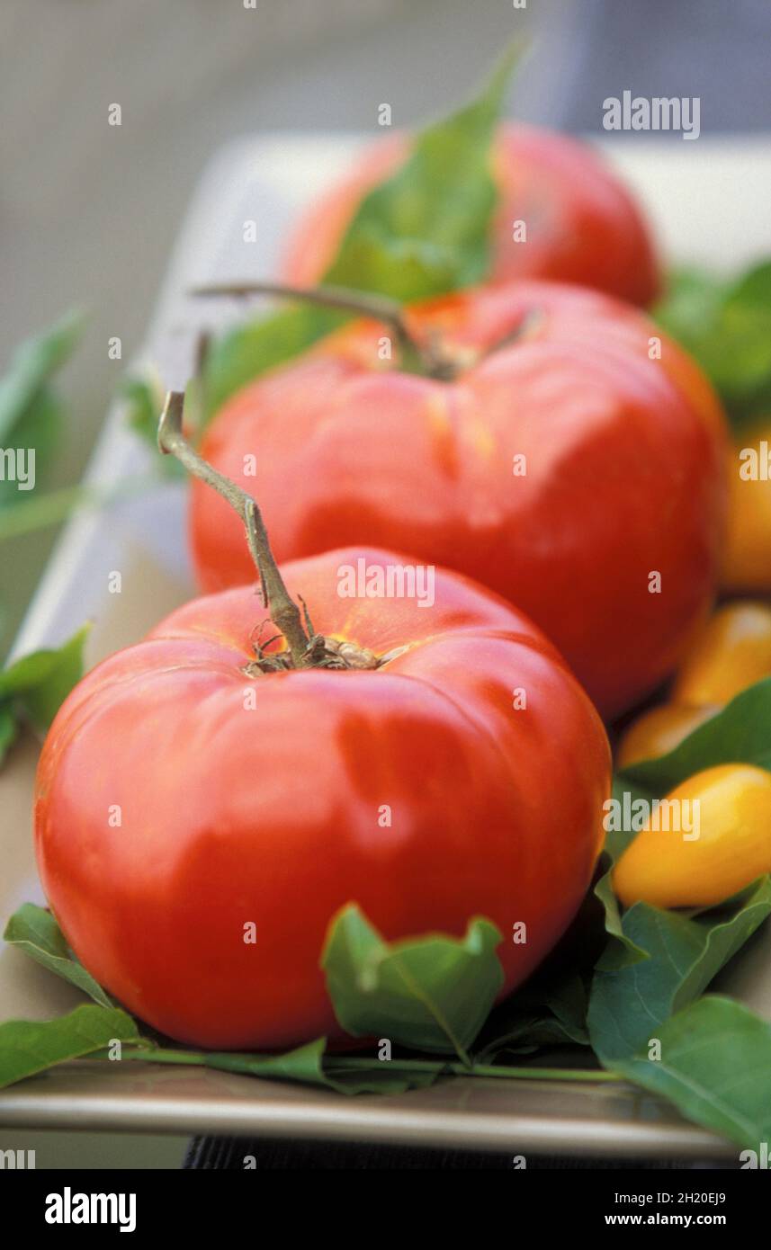Beefsteak-Tomaten und gelbe Birnentomaten auf einer Servierplatte Stockfoto