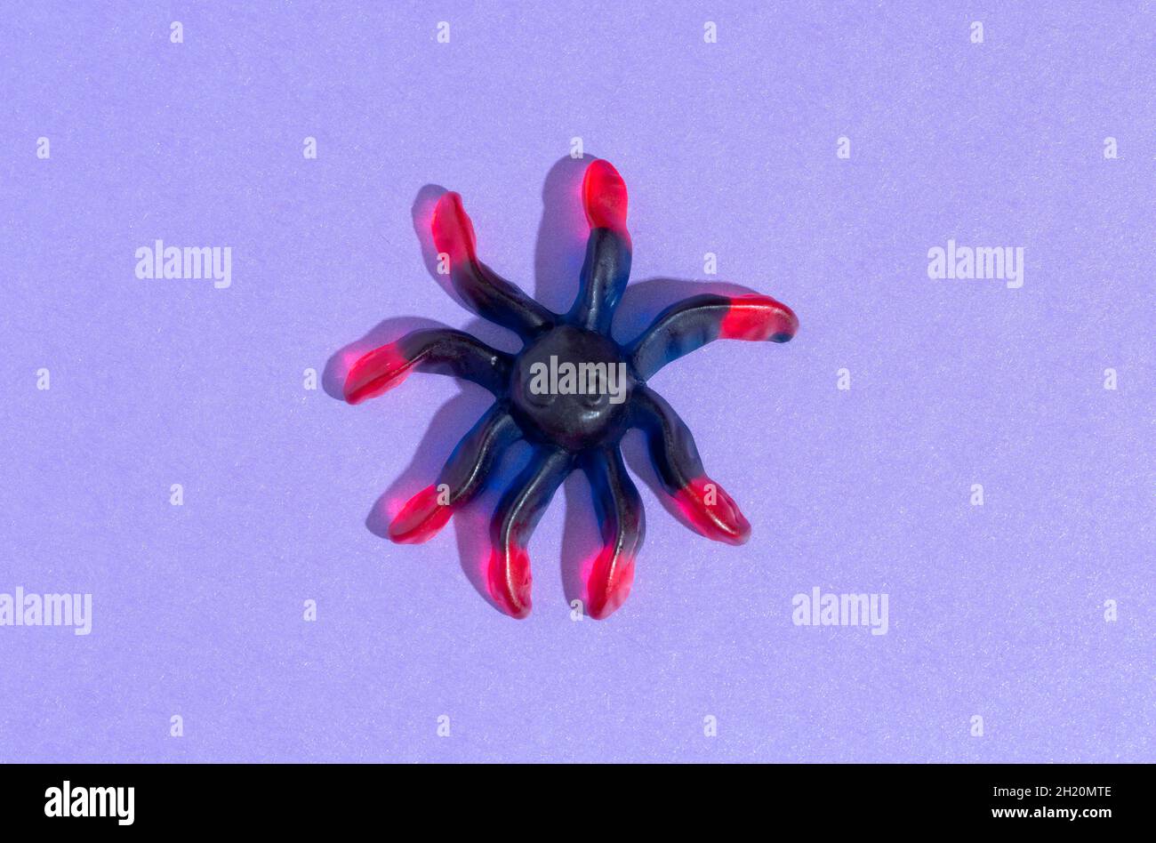 Gummy süße Spinne auf einem lila Hintergrund. Halloween Stockfoto