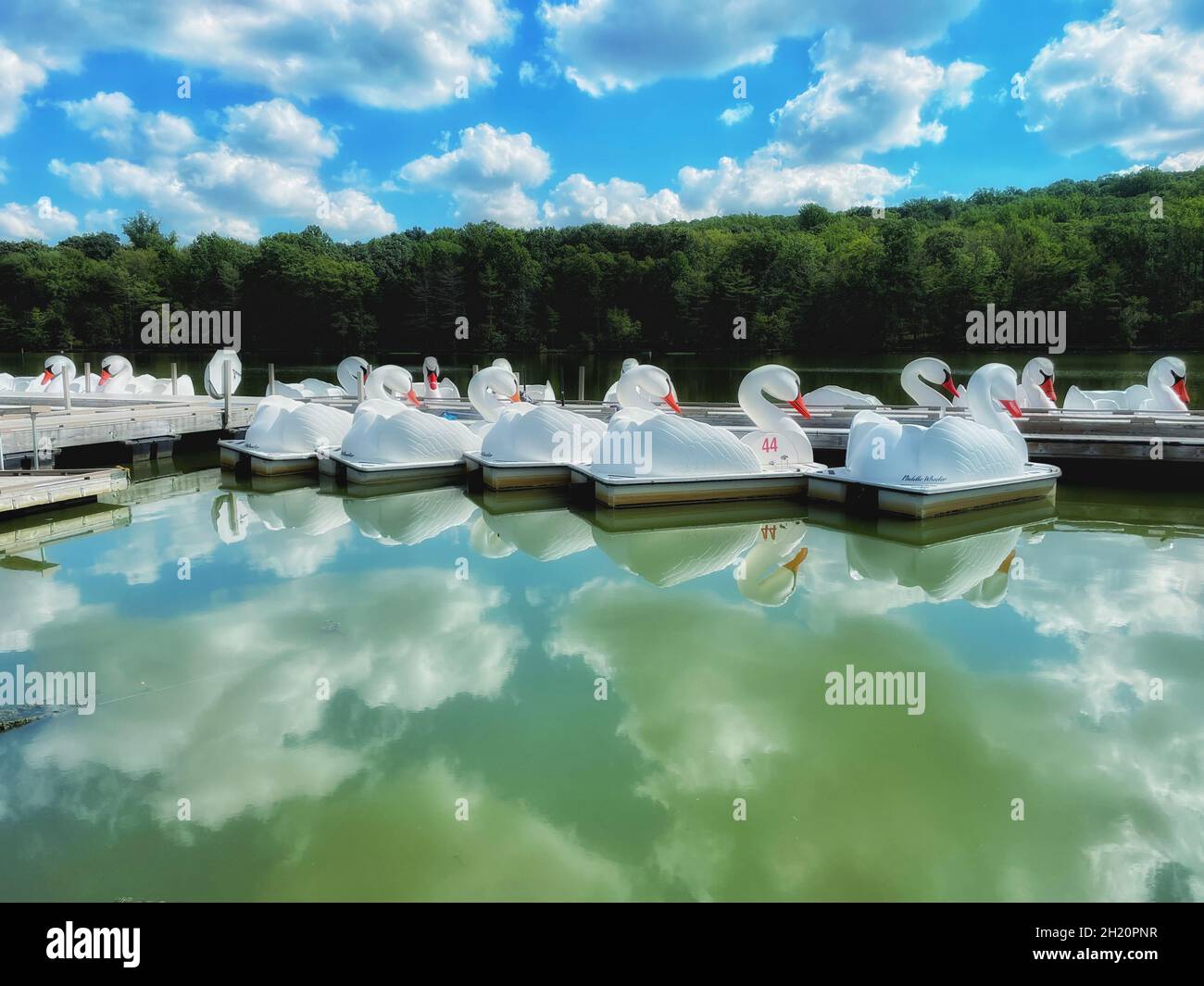 Swan Boote an einem Dock auf dem Reservierungssee in West Orange, NJ USA Stockfoto