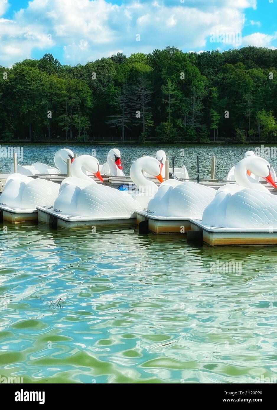 Swan Boote an einem Dock auf dem Reservierungssee in West Orange, NJ USA Stockfoto