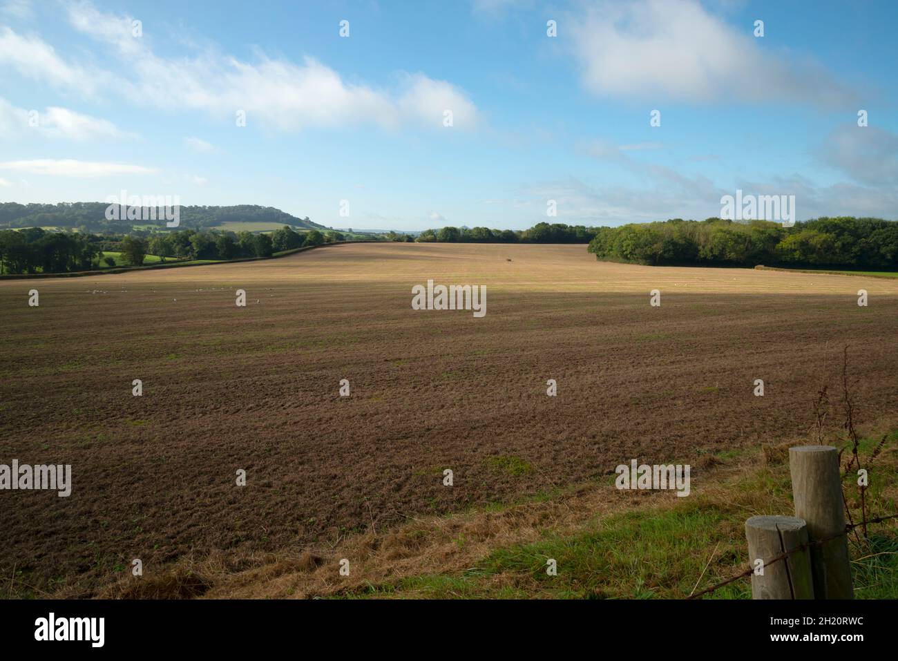 Ackerland in der Nähe der Außenbezirke der Stadt Wells, Somerset, SW UK Stockfoto