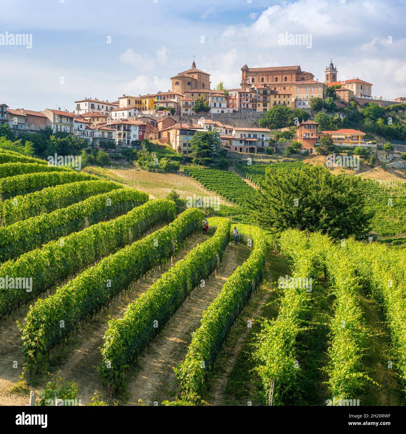 Das schöne Dorf La Morra und seine Weinberge in der Region Langhe im  Piemont, Italien Stockfotografie - Alamy