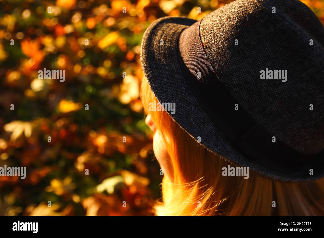 Nahaufnahme Porträt einer offenen jungen kaukasischen blonden Frau im farbenfrohen Herbstpark. Hell dunkel stilvolle Frau in Hut und Schal des Halses im Herbst Stockfoto