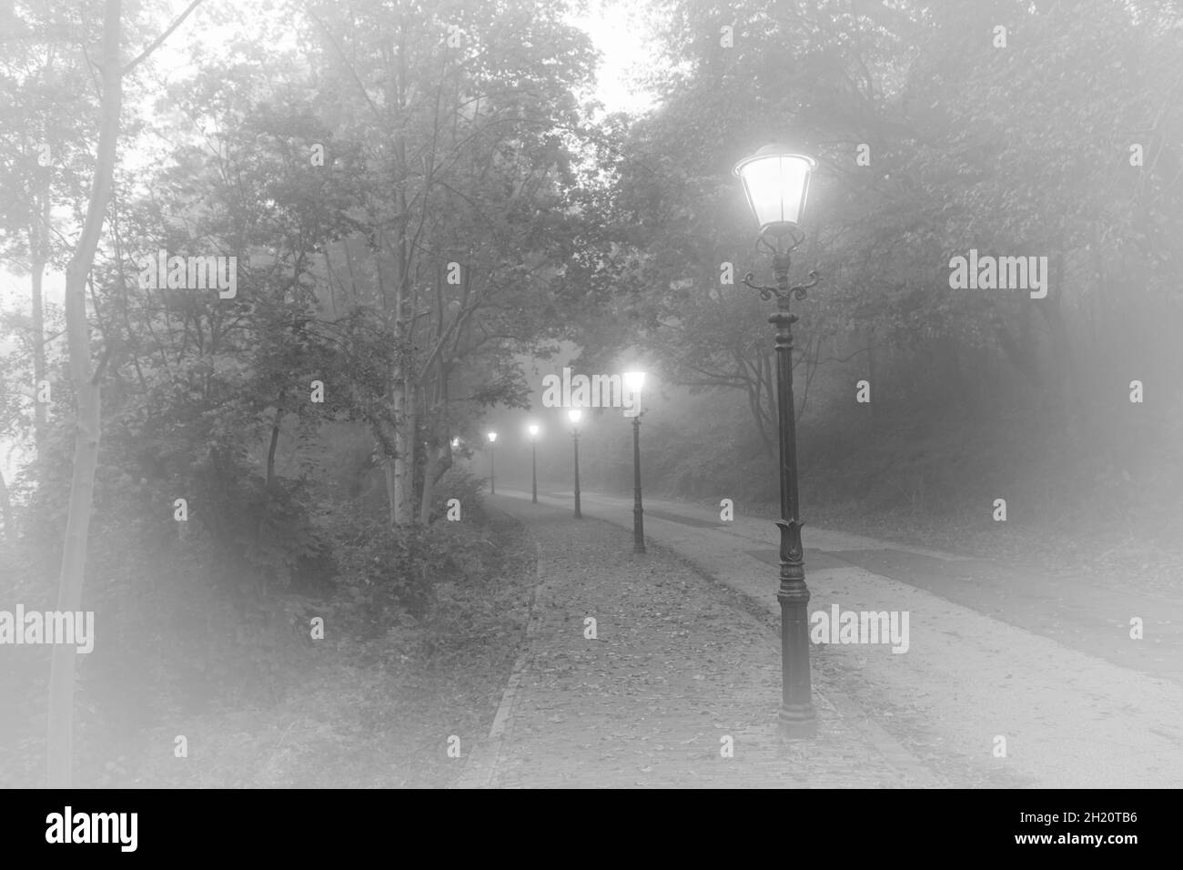 Schöner Blick auf eine Straße mit klassischen Straßenlaternen im Nebel. Alter Look. Schwarzweiß-Bild, weiße Vignettierung hinzugefügt. Stockfoto