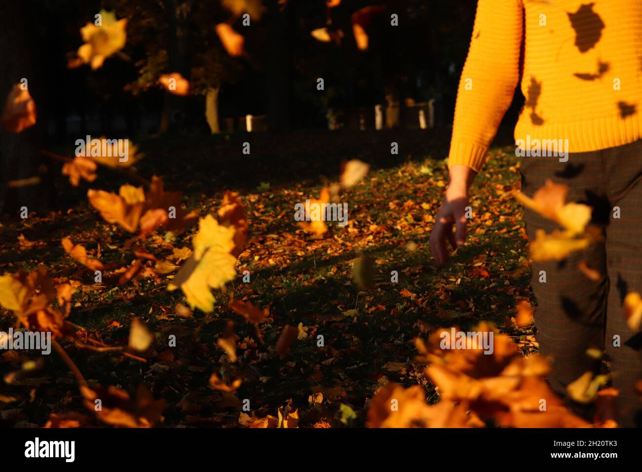 Hallo Herbst. Glückliche Frau in gelbem Pullover, Schal draußen im Herbstpark genießen Herbst und werfen Blätter. Viele fliegen orange, gelb, grün Stockfoto