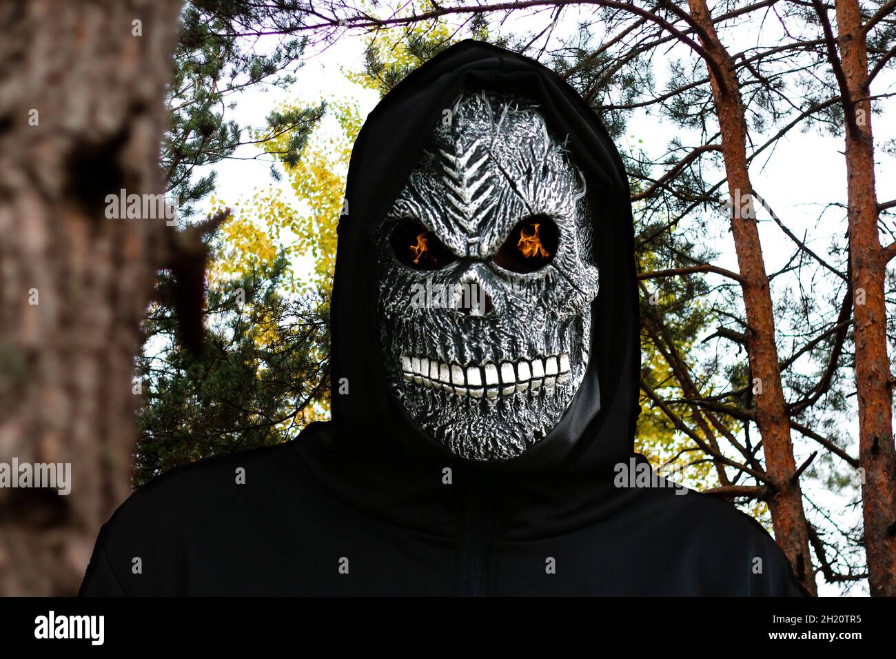 Nahaufnahme des grimmigen Reaper. Mann in Todesmaske mit Feuerflamme in den Augen auf Natur Wald Stamm Hintergrund. Faschingskostüm, gruselige Zähne Stockfoto