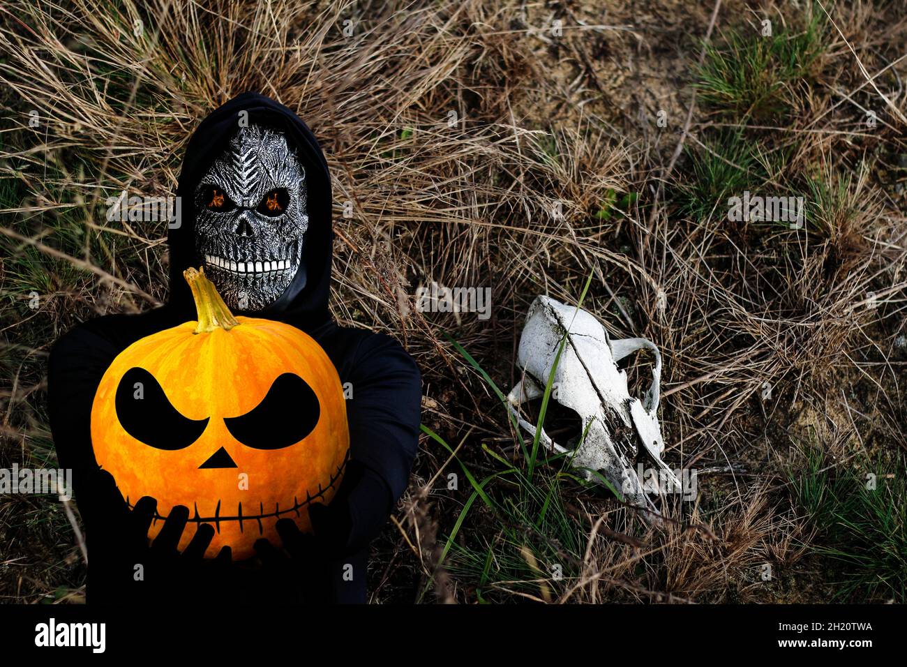 Nahaufnahme des grimmigen Reaper. Mann in Totenmaske mit Feuerflamme in den Augen auf dunklem trockenen Gras mit Tierschädel Hintergrund. Faschingskostüm, gruselig Stockfoto