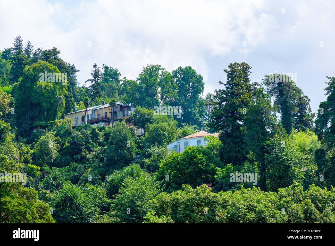 Niedliche Häuser im botanischen Garten von Batumi Stockfoto