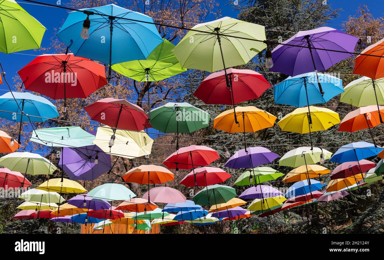 Farbenfrohe Regenschirme in Oak Glen, CA Stockfoto